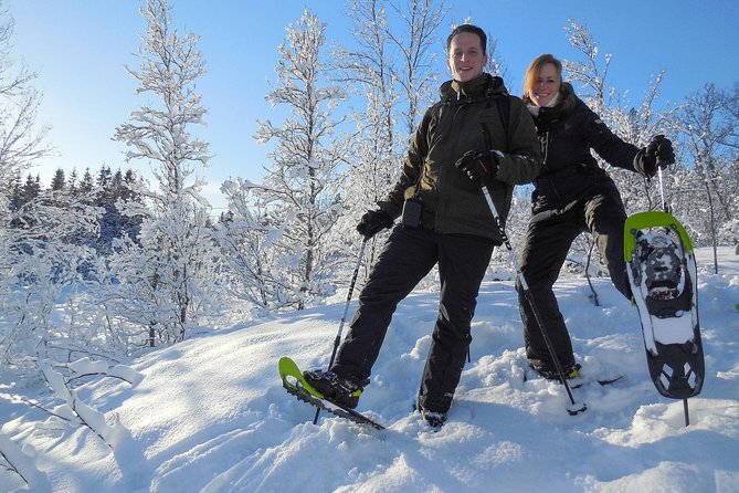 Guided Snowshoe Walk on Tromsoya Island in Tromso - Getting There Without Stress: Tromsø City Centre to the Island Start