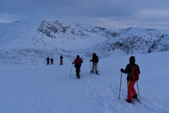 Guided Snowshoe Walk on Tromsoya Island in Tromso - Inside the Walk: Flat Forest Trails, Gentle Hills, and Viewpoints