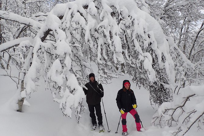 Guided Snowshoe Walk on Tromsoya Island in Tromso - Who Should Book This Snowshoe Walk, and Who Might Skip It