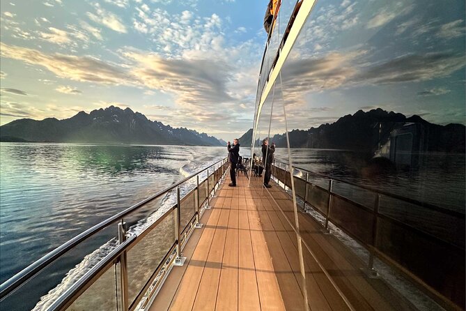 Guided Summer Arctic Light Cruise from Tromsø - Key Highlights Worth Your Time