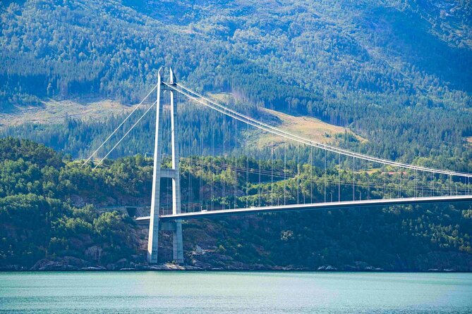 Guided tour to Hardangerfjord with Waterfalls and Ferry Crossing - Steinsdalsfossen: the stop that tends to earn the biggest smiles