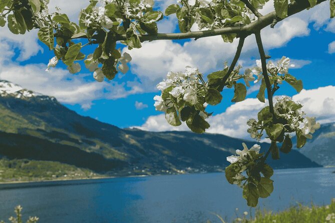 Guided tour to Hardangerfjord with Waterfalls and Ferry Crossing - Tørvikbygd back to Bergen: end timing and the bus reality