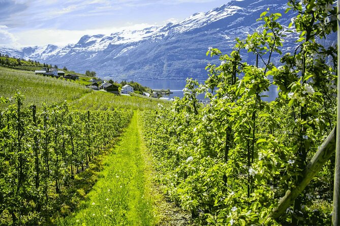 Guided tour to Hardangerfjord with Waterfalls and Ferry Crossing - Trengereid, Mørkhølsfossen, and Fossen Bratte: the “warm-up” waterfalls