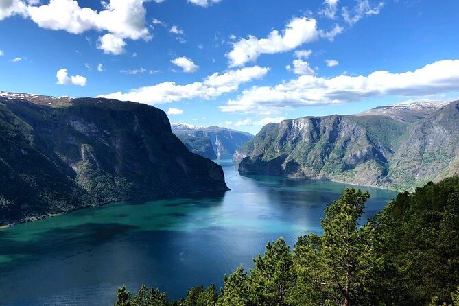 Guided Tour To Nærøyfjorden, Flåm And Stegastein - Viewpoint Cruise - Tvindefossen waterfall, plus a quick stop to reset