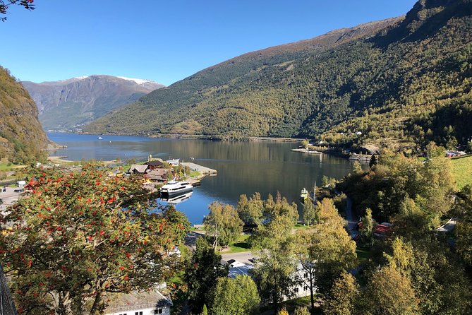 Guided Tour To Nærøyfjorden, Flåm And Stegastein - Viewpoint Cruise - Price and value: $318.49 for a full-day fjord hit