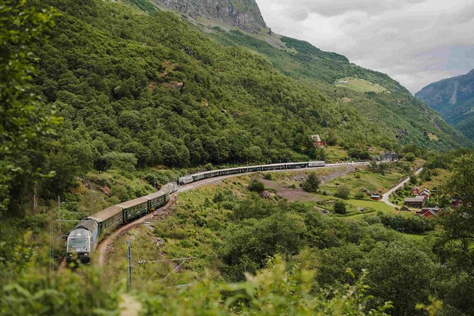 Guided tour to Viking Village, Nærøyfjorden Cruise & Flåm Railway - Myrdal transfer and the return train back to Bergen