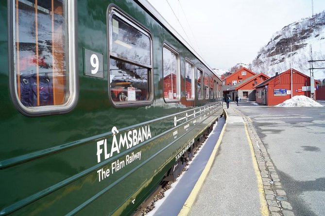 Guided tour - Viking Village, Nærøyfjord Cruise and Flåm Railway - Flåm Railway to Myrdal: the steep train ride people rave about