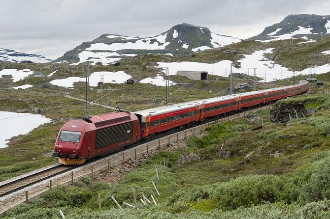 Guided tour - Viking Village, Nærøyfjord Cruise and Flåm Railway - Myrdal Station and Bergen Railway Myrdal to Voss: the mountain line experience