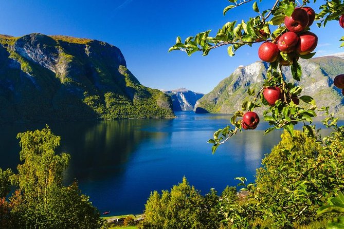 Guided tour - Viking Village, Nærøyfjord Cruise and Flåm Railway - The Nærøyfjord cruise to Flåm: why this narrow fjord hits hard