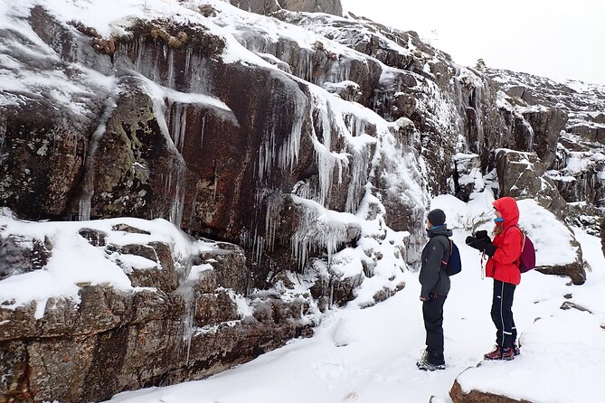 Guided winter hike to Pulpit Rock Preikestolen - Guides matter more than you think, and Helga and Hege prove it