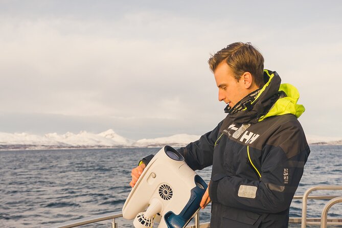 Half Day Arctic Fjord Cruise from Tromso - Key Highlights You’ll Actually Feel