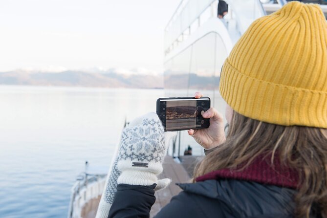 Half Day Arctic Fjord Cruise from Tromso - A Half-Day Fjord Cruise That Packs Meaning, Not Just Miles