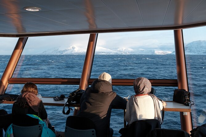 Half Day Arctic Fjord Cruise from Tromso - Wildlife Spotting Gets a Boost: Underwater Drone and Sea-Life Talk