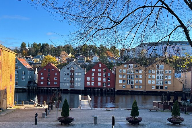 Half-Day Highlights of Trondheim by Bus and City Walk - Bakklandet and the World’s Only Bicycle Lift Stop
