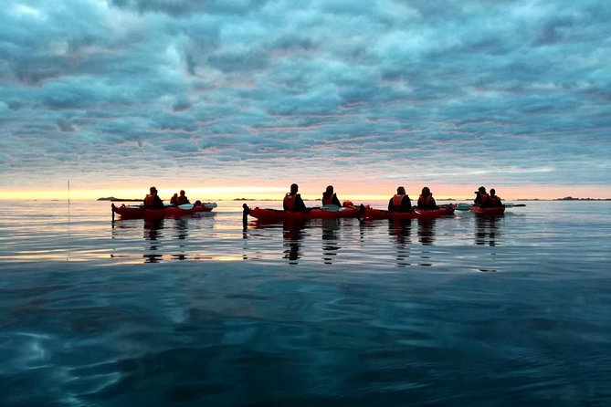 Half Day Kayak - Northern Explores AS - Stories from Your Guide: Lofoten’s Coast Told at Kayak Speed