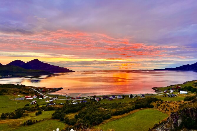 Half-Day Scenic Wildlife & Photographic Fjord Tour. - What you’ll do on Kvaløya: photo stops, local stories, and fjord views