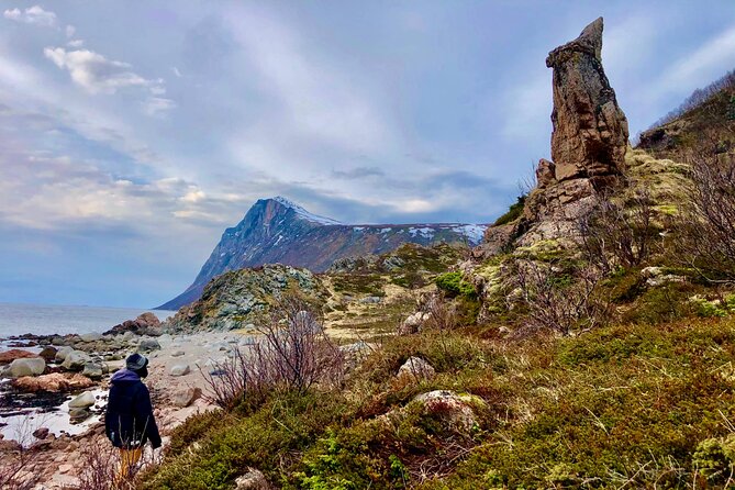 Half-Day Scenic Wildlife & Photographic Fjord Tour. - The photography advantage: professional guides and phone-ready tips