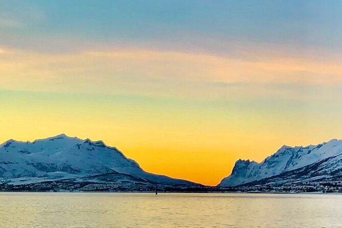 Half-Day Scenic Wildlife & Photographic Fjord Tour. - Who this tour suits best, and who should think twice