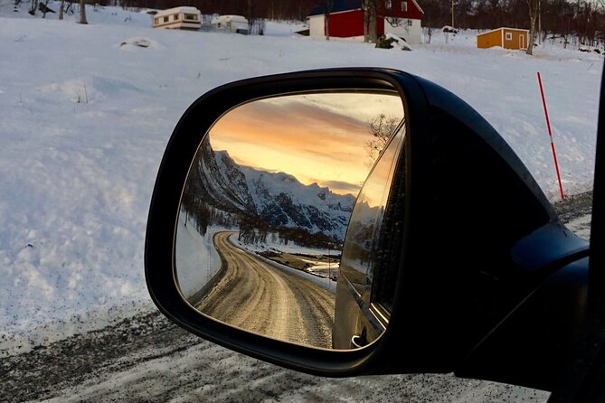 Half-Day Scenic Wildlife & Photographic Fjord Tour. - Should you book Marianne’s Heaven on Earth Kvaløya photo tour?