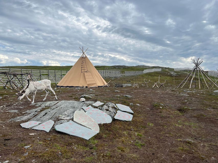 Hammerfest: Guided Tour - Meet Reindeer - Who this tour suits best, and who should rethink it