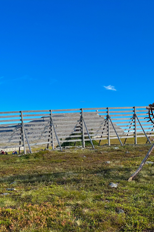 Hammerfest: Guided Tour - Meet Reindeer - Salen Mountain Above Hammerfest: the setting that makes it feel real