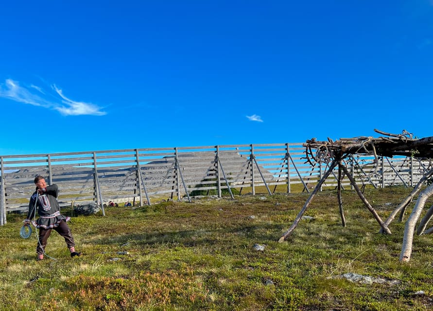 Hammerfest: Guided Tour - Meet Reindeer - Meeting the herd: feed reindeer by hand and read their behavior