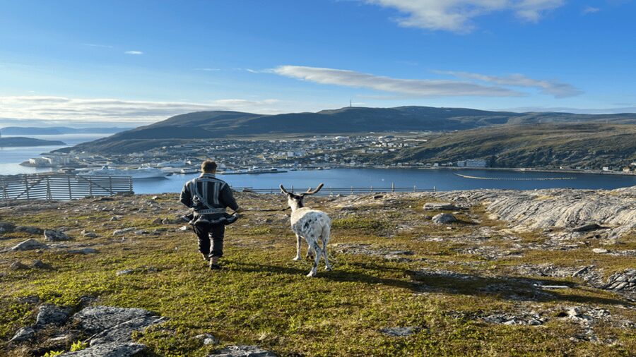 Hammerfest: Guided Tour - Meet Reindeer - What you see from the mountain: Hammerfest and the Arctic Ocean