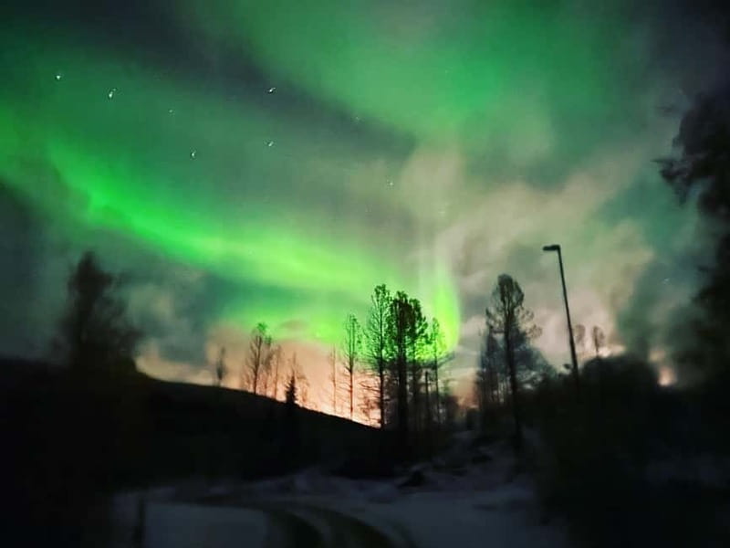 Harstad/Narvik: Northern Lights Tours with Second Day Chance - Key highlights that matter on the ground