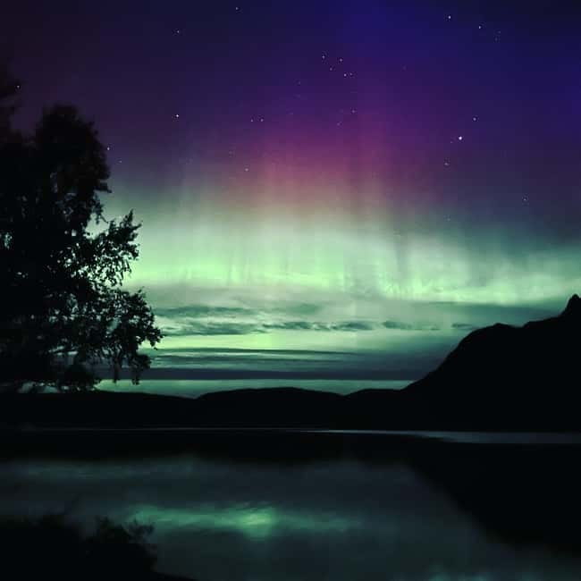 Harstad/Narvik: Northern Lights Tours with Second Day Chance - How the aurora hunt actually works once it’s dark