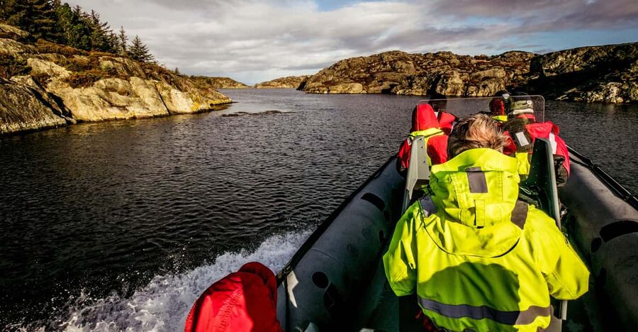 Haugesund: RIB Safari to the island communities - Wildlife watch: how to spot the white-tailed eagle