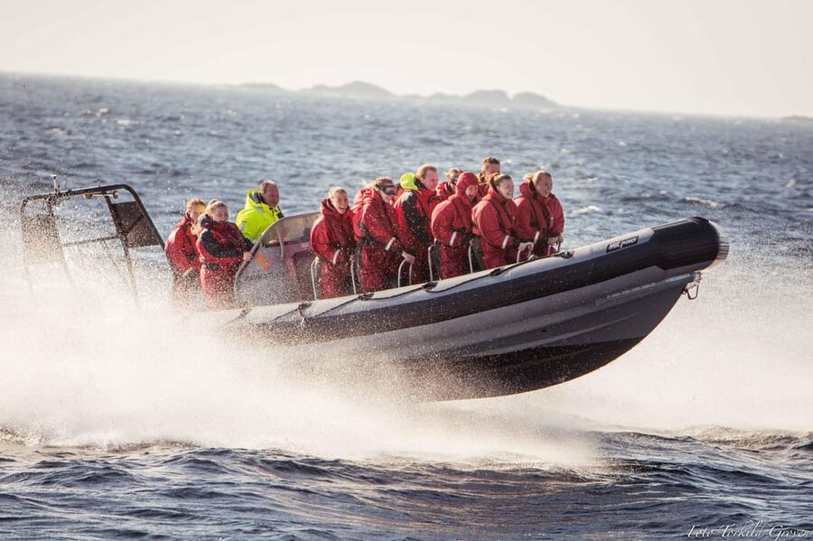 Haugesund: RIB Safari to the island communities - Who this Haugesund RIB safari is best for