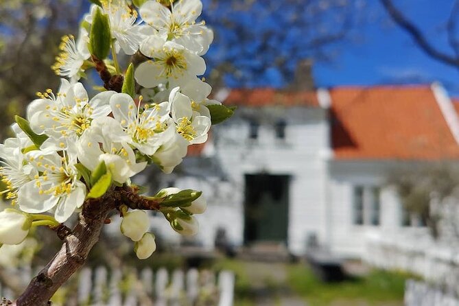 Highlights of the Region -City/Skudenes/Avaldsnes Guided Bustour - Key highlights worth your attention
