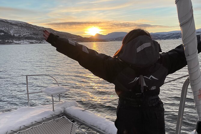 History Fjordcruise Around The Isle Of Tromso - Luxury Catamaran - How to plan around a 2:00 pm departure