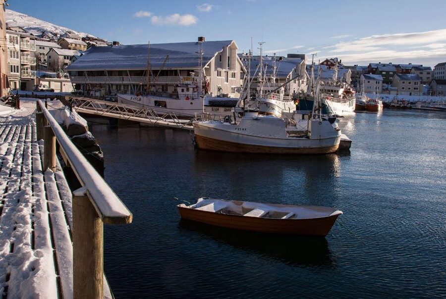 Honningsvåg: North Cape Winter Excursion with Entry Ticket - When the tour feels like great value, and when it doesn’t