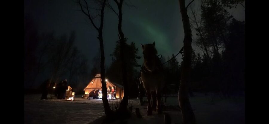 Horse riding and dining experience - Key highlights at a glance