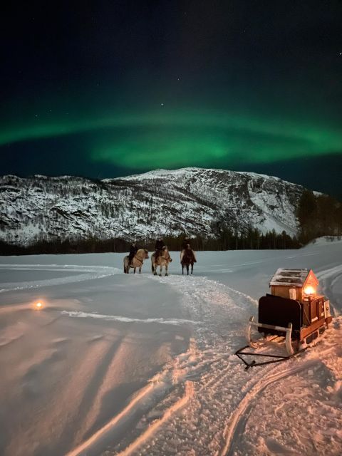Horse riding and dining experience - The fjord horse ride through forest and along the Alta River