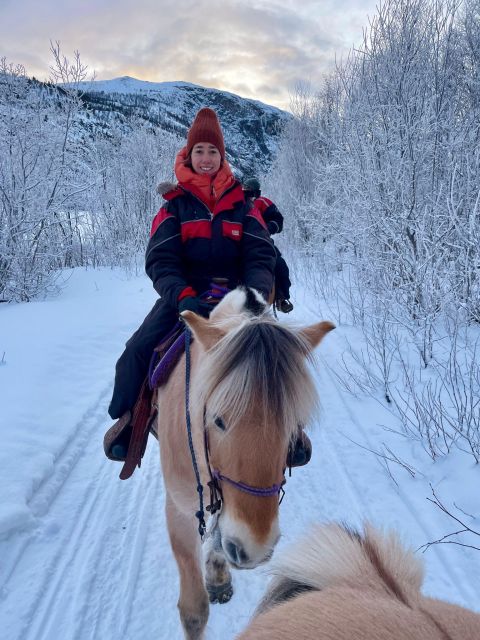 Horse riding and dining experience - The wilderness shelter stop and your fire-side 3-course meal