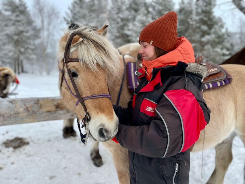 Horse riding and dining experience - Northern lights chances without turning it into a grind