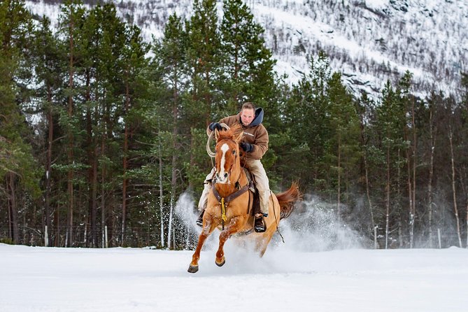 Horseback riding - Key Highlights I Think You’ll Appreciate