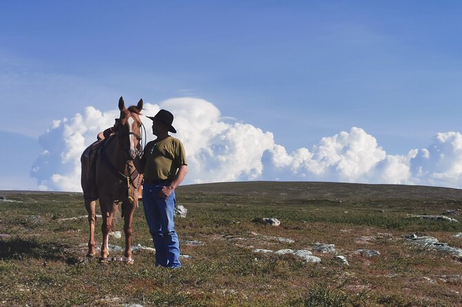 Horseback riding - Grooming First, Helmets On, With Johnny as Your Guide