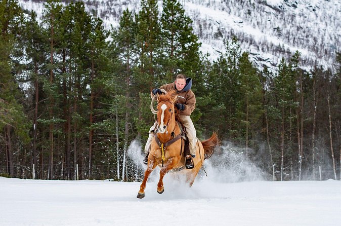 Horseback riding - Coffee and a Cinnamon Bun Pause on the Farm Ride