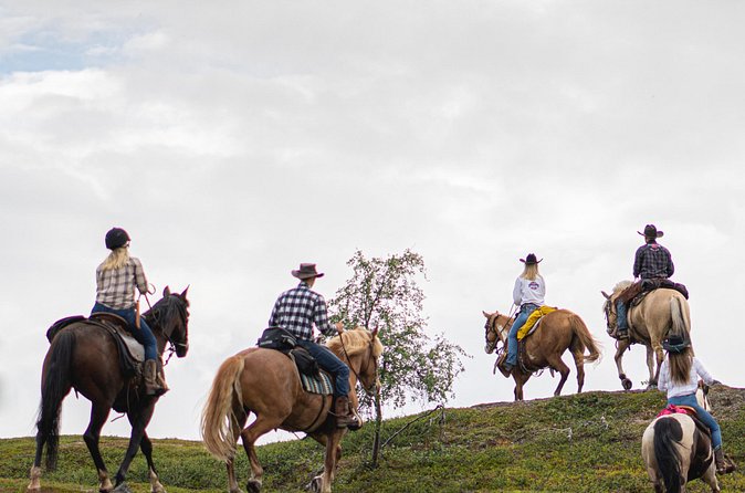 Horseback riding - Price and Group Size: Why This 2-Hour Taste Costs $279.96