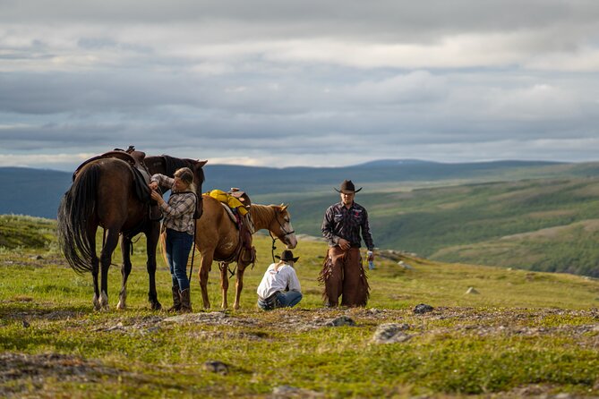 Horseback riding - Should You Book This Beginner Horse Ride in Alta?