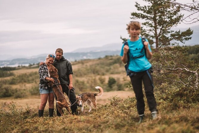 Husky Hike and Puppy Visit with Lunch - Key things to know before you go