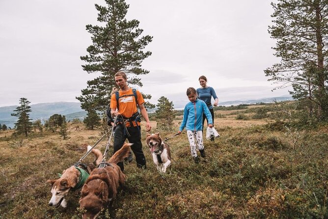 Husky Hike and Puppy Visit with Lunch - Rain gear and boots: the included setup, plus how to make it work for you