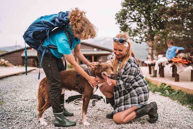 Husky Hike and Puppy Visit with Lunch - Adult dog time and the care behind the scenes