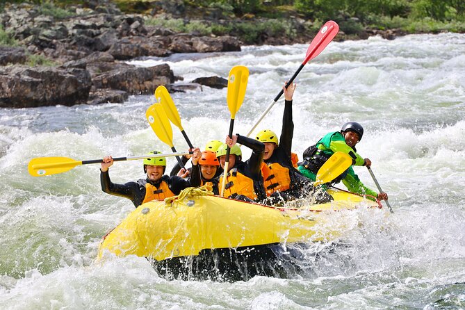 Intermediate Difficulty Level Rafting Experience in Dagali - The Cocktail, Last Rapids Choices, and Getting More Control