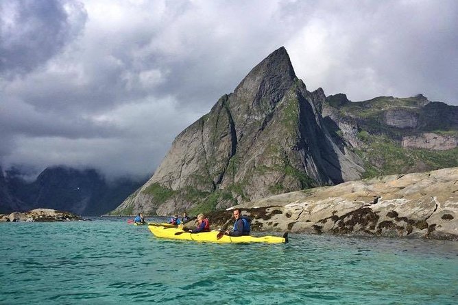 Kayaking in Reinefjorden - What you might see: marine life, birds, and a seaweed moment