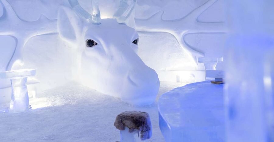 Kirkenes: Snowhotel Entrance Ticket - Reindeer grazing and huskies first, the fast Arctic hit