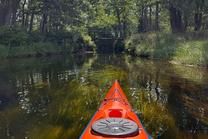 Kristiansand: Kayaking River Tour Adventure - Should You Book This Kayaking Tour in Kristiansand?